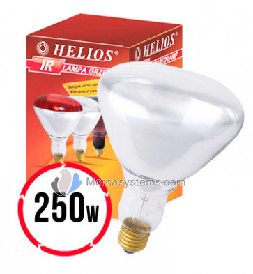 Helios Lampe Blanche Infrarouge 250W (lampe chauffante infrarouge blanche pour l'élevage)