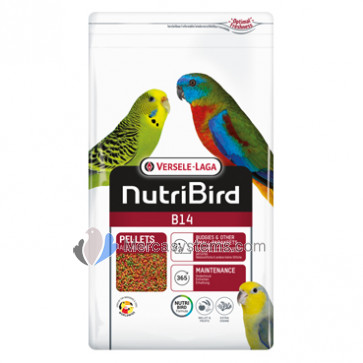 NutriBird B14 800gr (pondérées aliment complet de maintenance pour perruches et autres petites perruches)