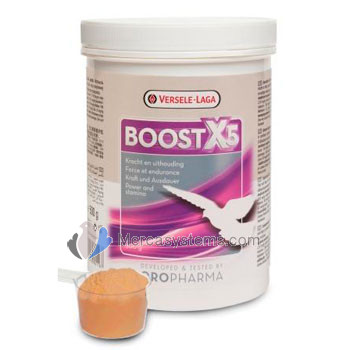 Versele-Laga Boost X5 500gr (pour un soutien maximal des muscles). pigeons produits. 