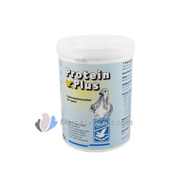 Backs pigeons products: Protein Plus