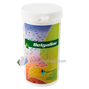 Belgica de Weerd BelgaBac pot 300gr (électrolytes + probiotiques). Pigeons et oiseaux 