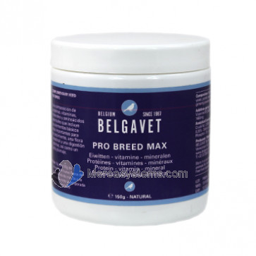 BelgaVet Pro-Breed Max Bird 150gr (protéines, minéraux et vitamines de haute qualité pour la reproduction) Pour les oiseaux.