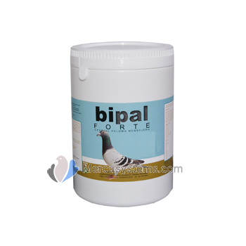 Bipal Forte 1 kg, (Premium Top probiotiques de qualité, de la vitamine, minéraux et acides aminés). Pigeons Voyageurs