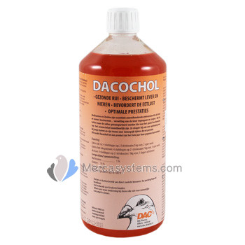 Dac Dacochol 1 Litre (protège foie et les reins)