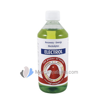 The Red Pigeon Electrol 500ml, (Recovery - Electrolytes Energie)
