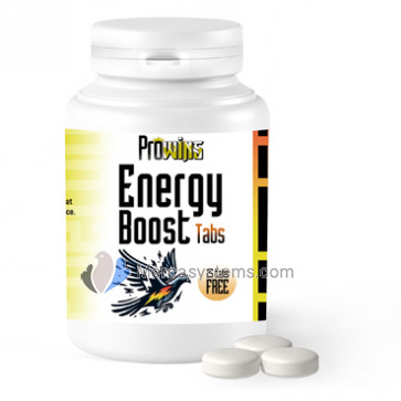 Prowins Energy Boost Pills