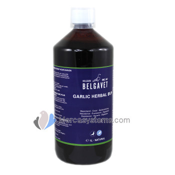 Belgavet Garlic Herbal 1L (100% naturel antifongique et antibiotique). Pour les pigeons et les oiseaux