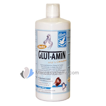 Backs Glut- Amin 1000 ml ( acides aminés , glucose , de la vitamine B et électrolytes ) ; Pigeon Produits
