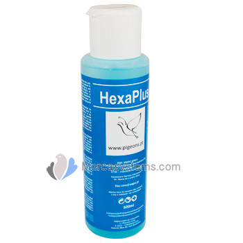 Hexa plus de 500 ml. pour les pigeons (désinfectant pour l'eau)