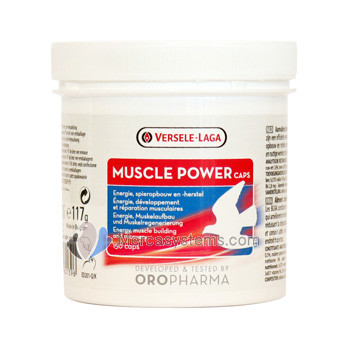 Versele-Laga Muscle Power 150 capsules, (pour un renforcement musculaire plus rapide et plus efficace)
