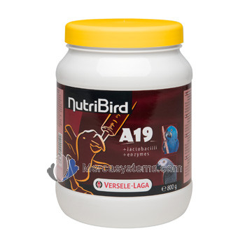 NutriBird A 19 800gr (birdfood complet pour la main-élevage des aras, eclectus, perroquets à tête de faucon, perroquets gris africains et d'autres babybirds) 