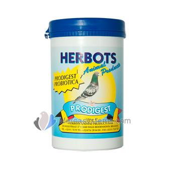 Herbots Prodigest (mélange de vitamines, d’acides aminés, d’électrolytes et d’interococcus faecium). Pour Pigeons