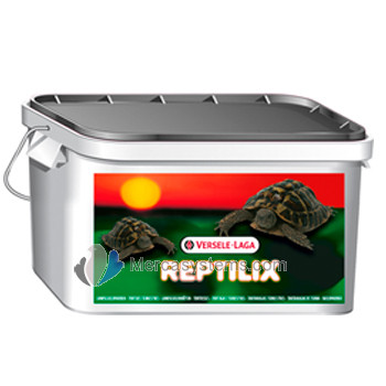 Versele-Laga Reptilix Tortoise 1kg (Aliment enrichi) Pour tortues terrestres (tortue)