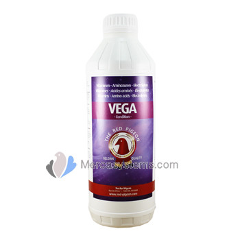 The Red Pigeon Vega 1L, (vitamines, acides aminés, électrolytes)