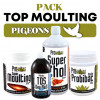 Pack Prowins Top Moulting Pigeons, (tout commence par une excellente mue)