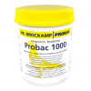 Dr Brockamp Probac 1000 500gr (probiotique électrolyte) Pour Pigeon