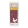 Versele-Laga Canto -Vit Liquid Suppliment 30 ml (vitamines ). Pour les oiseaux de cage